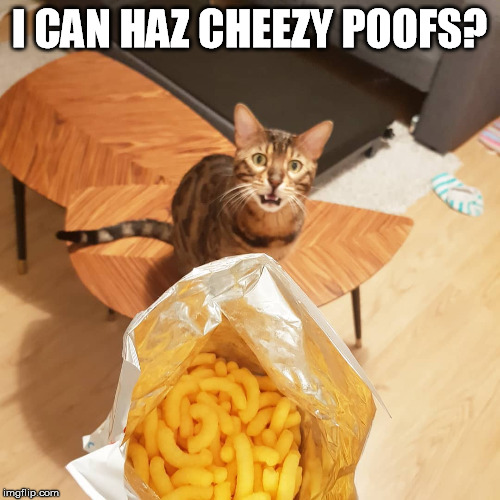 I CAN HAZ CHEEZY POOFS? | made w/ Imgflip meme maker