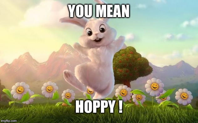 Easter-Bunny Defense | YOU MEAN HOPPY ! | image tagged in easter-bunny defense | made w/ Imgflip meme maker