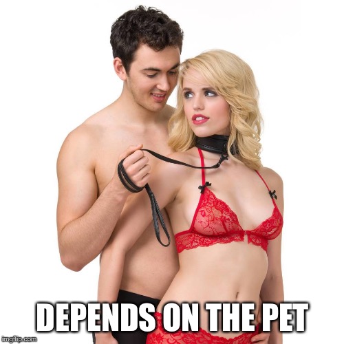 DEPENDS ON THE PET | made w/ Imgflip meme maker