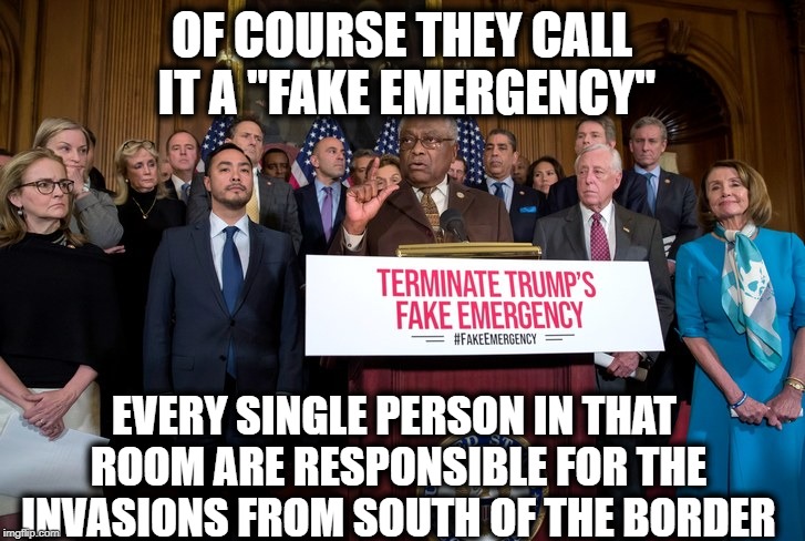 DemocratCongressmen | OF COURSE THEY CALL IT A "FAKE EMERGENCY"; EVERY SINGLE PERSON IN THAT ROOM ARE RESPONSIBLE FOR THE INVASIONS FROM SOUTH OF THE BORDER | image tagged in democratcongressmen,illegal immigration | made w/ Imgflip meme maker