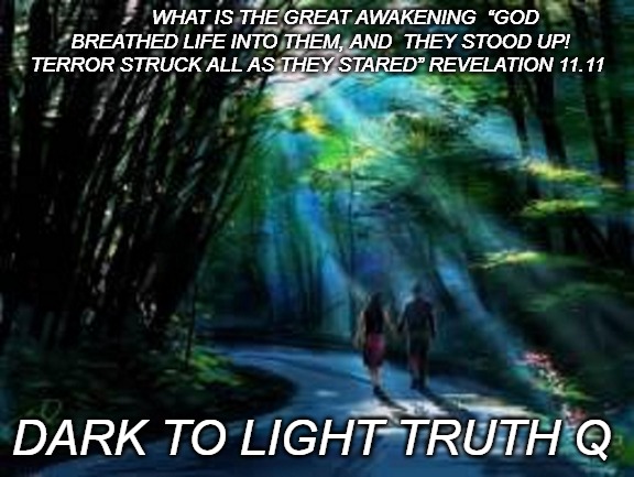 The great Awakening | WHAT IS
THE GREAT AWAKENING 
“GOD BREATHED LIFE INTO THEM, AND 
THEY STOOD UP! 
TERROR STRUCK ALL AS THEY STARED”
REVELATION 11.11; DARK TO LIGHT TRUTH Q | image tagged in memes | made w/ Imgflip meme maker