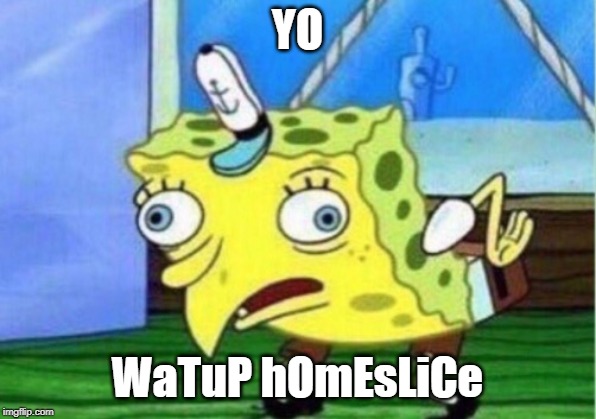 Mocking Spongebob Meme | YO; WaTuP hOmEsLiCe | image tagged in memes,mocking spongebob | made w/ Imgflip meme maker