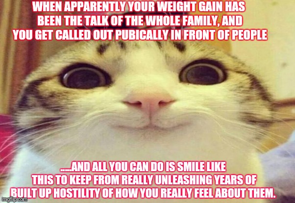 WHEN APPARENTLY YOUR WEIGHT GAIN HAS BEEN THE TALK OF THE WHOLE FAMILY, AND YOU GET CALLED OUT PUBICALLY IN FRONT OF PEOPLE; .....AND ALL YOU CAN DO IS SMILE LIKE THIS TO KEEP FROM REALLY UNLEASHING YEARS OF BUILT UP HOSTILITY OF HOW YOU REALLY FEEL ABOUT THEM. | made w/ Imgflip meme maker