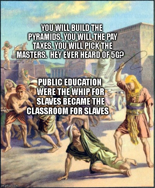 Slave driving | YOU WILL BUILD THE PYRAMIDS. YOU WILL THE PAY TAXES. YOU WILL PICK THE MASTERS.  HEY EVER HEARD OF 5G? PUBLIC EDUCATION WERE THE WHIP FOR SLAVES BECAME THE CLASSROOM FOR SLAVES | image tagged in slave driving | made w/ Imgflip meme maker