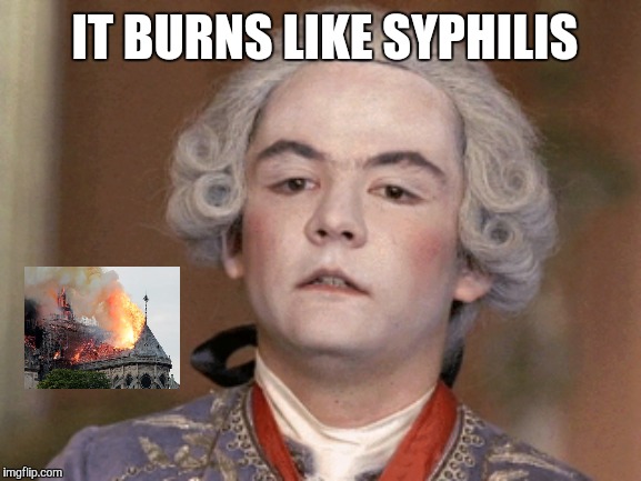 Everyone has AIDS | IT BURNS LIKE SYPHILIS | image tagged in notre dame | made w/ Imgflip meme maker
