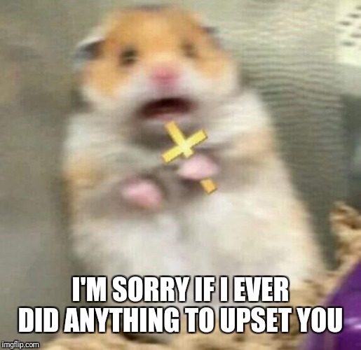 Scared Hamster with Cross | I'M SORRY IF I EVER DID ANYTHING TO UPSET YOU | image tagged in scared hamster with cross | made w/ Imgflip meme maker