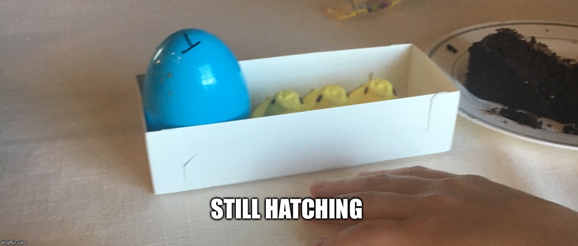 We’ve been hoodwinked! | STILL HATCHING | image tagged in peeps | made w/ Imgflip meme maker