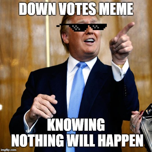seriously it does nothing... | DOWN VOTES MEME; KNOWING NOTHING WILL HAPPEN | image tagged in donal trump birthday,funny,meme,downvote | made w/ Imgflip meme maker