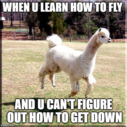 Alpaca Flying | WHEN U LEARN HOW TO FLY; AND U CAN'T FIGURE OUT HOW TO GET DOWN | image tagged in alpaca flying | made w/ Imgflip meme maker