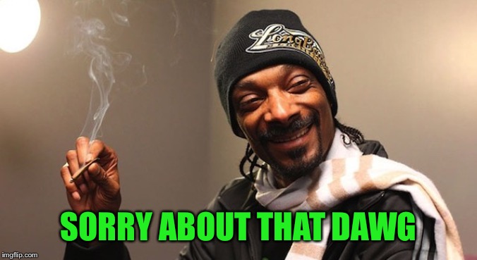 420 eves | SORRY ABOUT THAT DAWG | image tagged in 420 eves | made w/ Imgflip meme maker