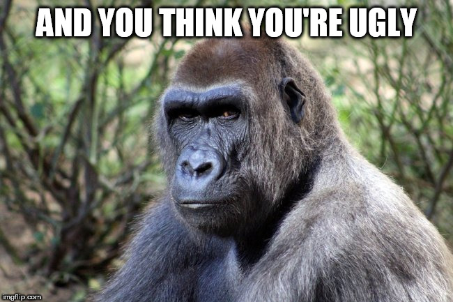 ugly | AND YOU THINK YOU'RE UGLY | image tagged in ugly | made w/ Imgflip meme maker