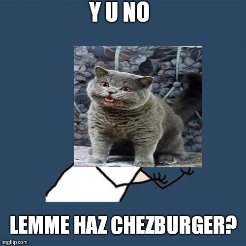 Y U No Meme | Y U NO LEMME HAZ CHEZBURGER? | image tagged in memes,y u no | made w/ Imgflip meme maker