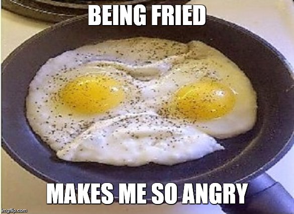 BEING FRIED MAKES ME SO ANGRY | made w/ Imgflip meme maker