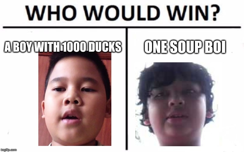 Who Would Win? | A BOY WITH 1000 DUCKS; ONE SOUP BOI | image tagged in memes,who would win | made w/ Imgflip meme maker