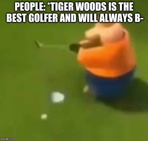 golf is a interesting sport | PEOPLE: *TIGER WOODS IS THE BEST GOLFER AND WILL ALWAYS B- | image tagged in sports,funny memes,dank memes | made w/ Imgflip meme maker