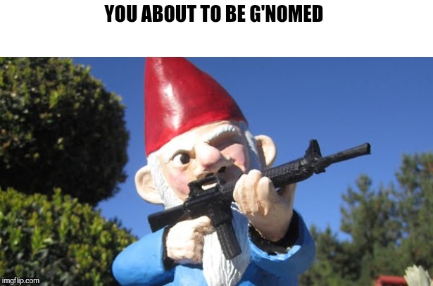 Gnome of your business | YOU ABOUT TO BE G'NOMED | image tagged in gnome of your business | made w/ Imgflip meme maker