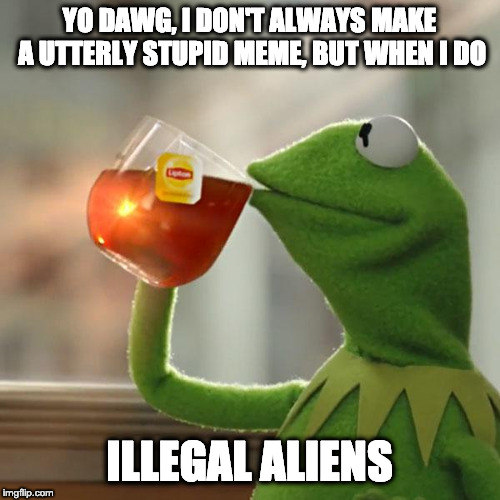 But That's None Of My Business Meme | YO DAWG, I DON'T ALWAYS MAKE A UTTERLY STUPID MEME, BUT WHEN I DO ILLEGAL ALIENS | image tagged in memes,but thats none of my business,kermit the frog | made w/ Imgflip meme maker