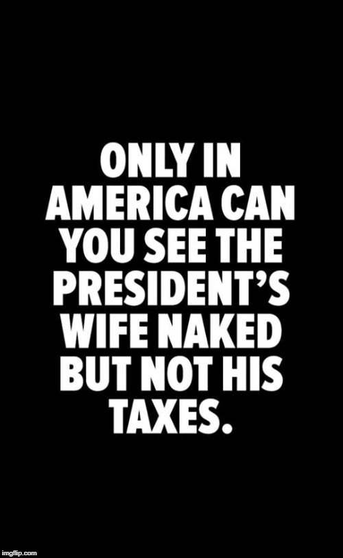 . | image tagged in trump,taxes,melania,naked | made w/ Imgflip meme maker