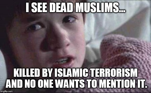 I See Dead People | I SEE DEAD MUSLIMS... KILLED BY ISLAMIC TERRORISM AND NO ONE WANTS TO MENTION IT. | image tagged in memes,i see dead people | made w/ Imgflip meme maker