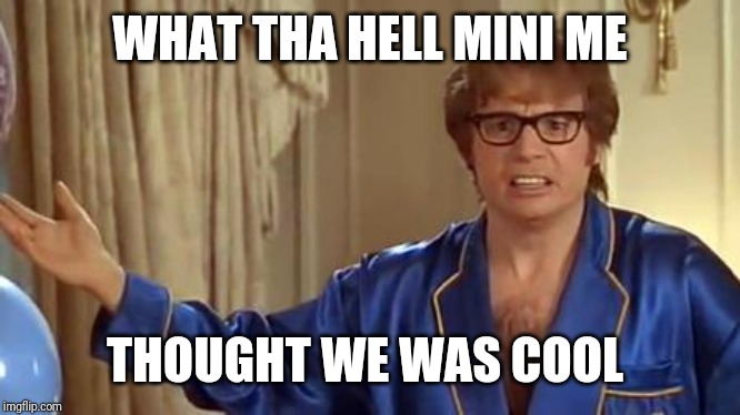 Austin Powers Honestly Meme | WHAT THA HELL MINI ME THOUGHT WE WAS COOL | image tagged in memes,austin powers honestly | made w/ Imgflip meme maker