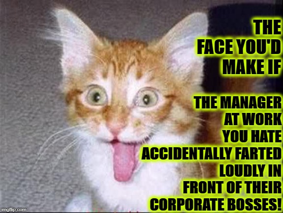 FACE YOU'D MAKE | THE MANAGER AT WORK YOU HATE ACCIDENTALLY FARTED LOUDLY IN FRONT OF THEIR CORPORATE BOSSES! THE FACE YOU'D MAKE IF | image tagged in face you'd make | made w/ Imgflip meme maker