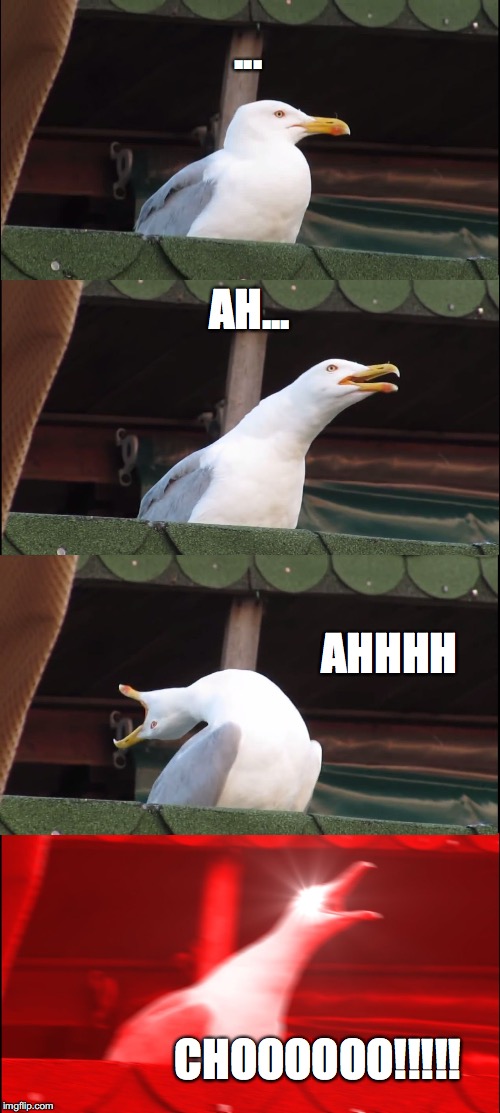 Inhaling Seagull Meme | ... AH... AHHHH; CHOOOOOO!!!!! | image tagged in memes,inhaling seagull | made w/ Imgflip meme maker