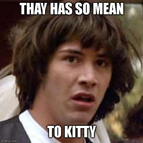 Conspiracy Keanu Meme | THAY HAS SO MEAN TO KITTY | image tagged in memes,conspiracy keanu | made w/ Imgflip meme maker