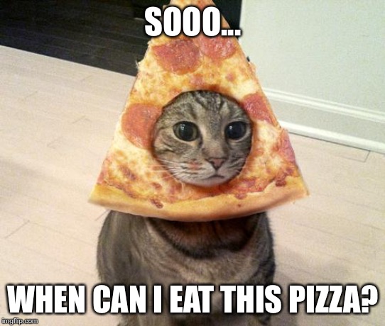The Cat Wants to Eat the Pizza | SOOO... WHEN CAN I EAT THIS PIZZA? | image tagged in pizza cat | made w/ Imgflip meme maker