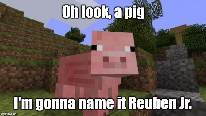 Minecraft Pig | Oh look, a pig; I'm gonna name it Reuben Jr. | image tagged in minecraft pig | made w/ Imgflip meme maker