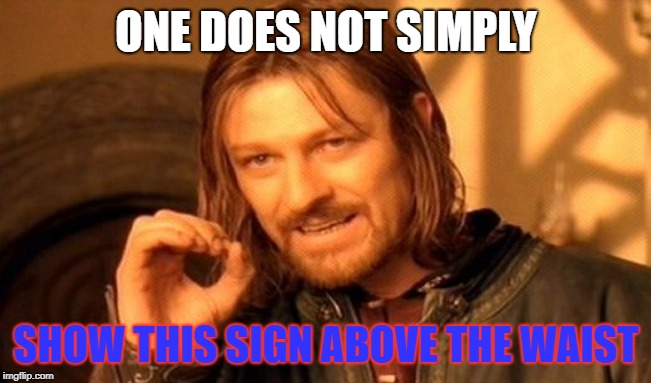 One Does Not Simply | ONE DOES NOT SIMPLY; SHOW THIS SIGN ABOVE THE WAIST | image tagged in memes,one does not simply | made w/ Imgflip meme maker