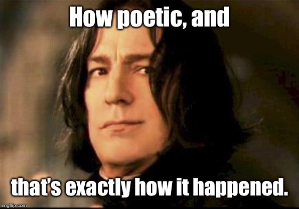 Severus snape smirking | How poetic, and that’s exactly how it happened. | image tagged in severus snape smirking | made w/ Imgflip meme maker