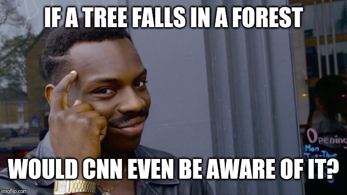 Roll Safe Think About It Meme | IF A TREE FALLS IN A FOREST WOULD CNN EVEN BE AWARE OF IT? | image tagged in memes,roll safe think about it | made w/ Imgflip meme maker