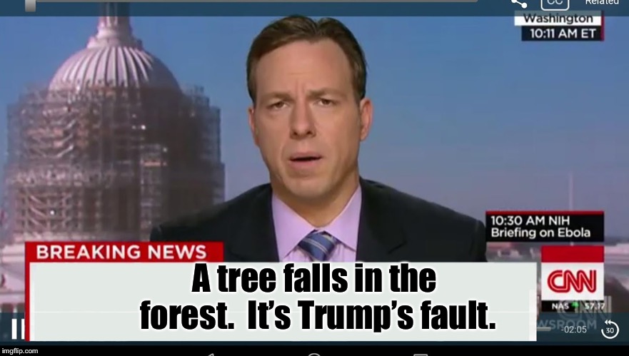 cnn breaking news template | A tree falls in the forest.  It’s Trump’s fault. | image tagged in cnn breaking news template | made w/ Imgflip meme maker