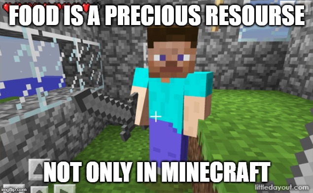 FOOD IS A PRECIOUS RESOURSE; NOT ONLY IN MINECRAFT | image tagged in minecraft steve,minecraft | made w/ Imgflip meme maker