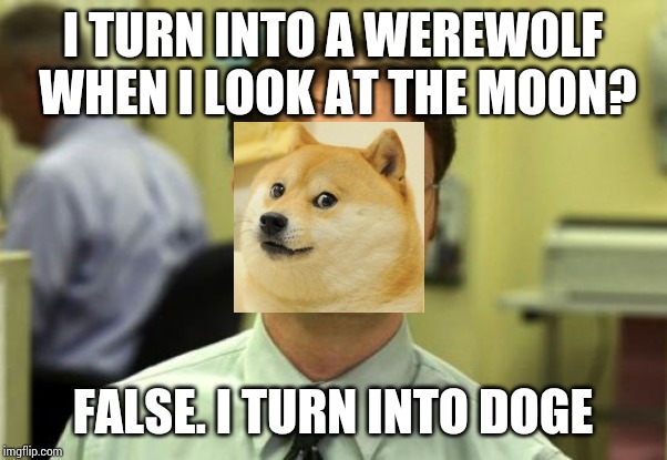 Dwight Schrute | I TURN INTO A WEREWOLF WHEN I LOOK AT THE MOON? FALSE. I TURN INTO DOGE | image tagged in memes,dwight schrute | made w/ Imgflip meme maker
