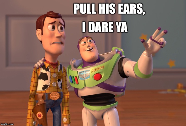 X, X Everywhere Meme | PULL HIS EARS, I DARE YA | image tagged in memes,x x everywhere | made w/ Imgflip meme maker