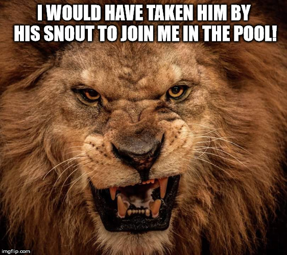 Angry Beast | I WOULD HAVE TAKEN HIM BY HIS SNOUT TO JOIN ME IN THE POOL! | image tagged in angry beast | made w/ Imgflip meme maker