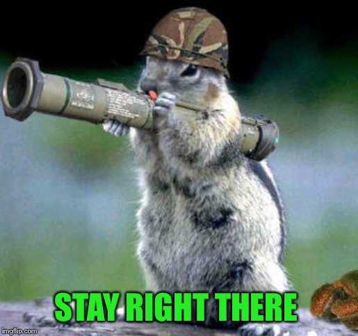 Bazooka Squirrel Meme | STAY RIGHT THERE | image tagged in memes,bazooka squirrel | made w/ Imgflip meme maker
