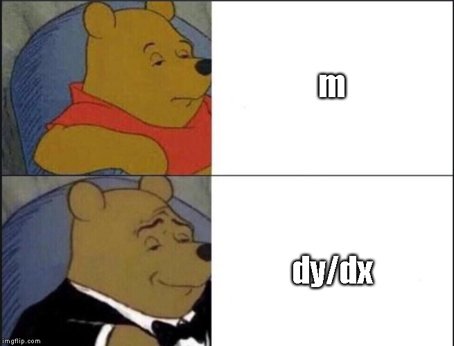 Tuxedo Winnie The Pooh | m; dy/dx | image tagged in winnie the pooh template | made w/ Imgflip meme maker