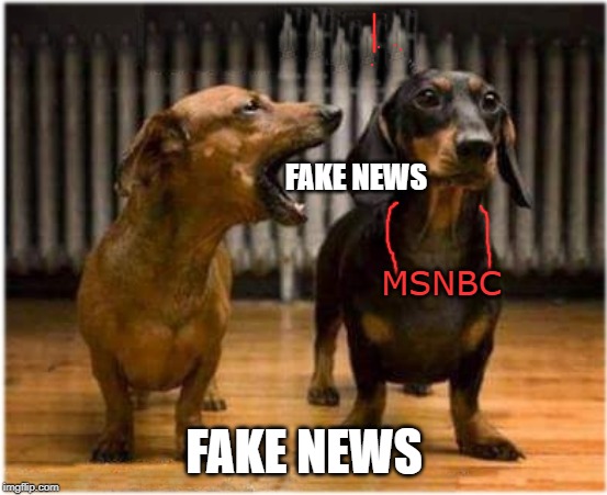 Married Dogs | FAKE NEWS; MSNBC; FAKE NEWS | image tagged in married dogs | made w/ Imgflip meme maker