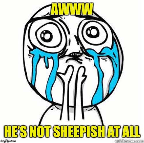 Crying Face | AWWW HE’S NOT SHEEPISH AT ALL | image tagged in crying face | made w/ Imgflip meme maker