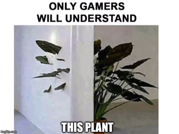 Umm | THIS PLANT | image tagged in video games,logic | made w/ Imgflip meme maker