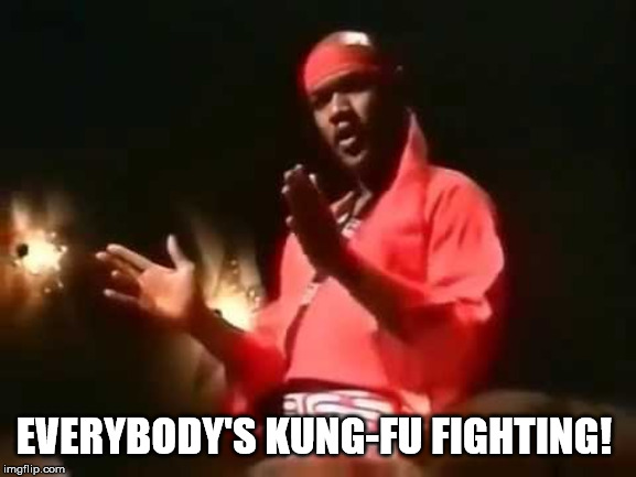 EVERYBODY'S KUNG-FU FIGHTING! | made w/ Imgflip meme maker