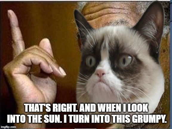 Grumpy Cat He's Right You Know | THAT'S RIGHT. AND WHEN I LOOK INTO THE SUN. I TURN INTO THIS GRUMPY. | image tagged in grumpy cat he's right you know | made w/ Imgflip meme maker