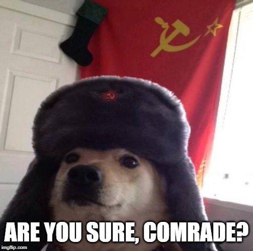 Russian Doge | ARE YOU SURE, COMRADE? | image tagged in russian doge | made w/ Imgflip meme maker