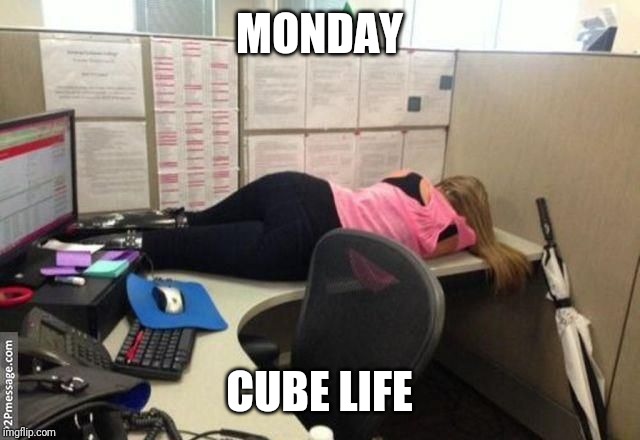 Monday | MONDAY; CUBE LIFE | image tagged in monday | made w/ Imgflip meme maker