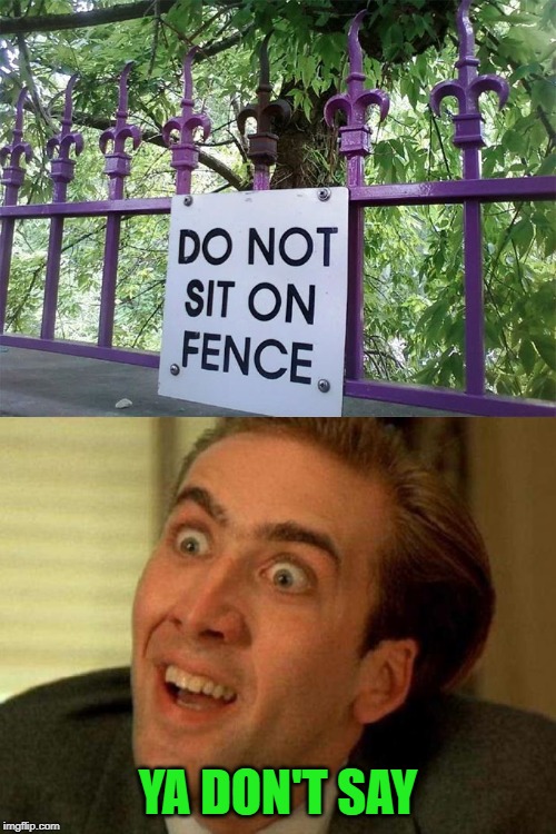 Stupid Signs Week (April 17-23), A LordCheesus and DaBoiIsMeAvery event | YA DON'T SAY | image tagged in funny signs,memes,stupid signs week,funny,ya don't say,nicholas cage | made w/ Imgflip meme maker