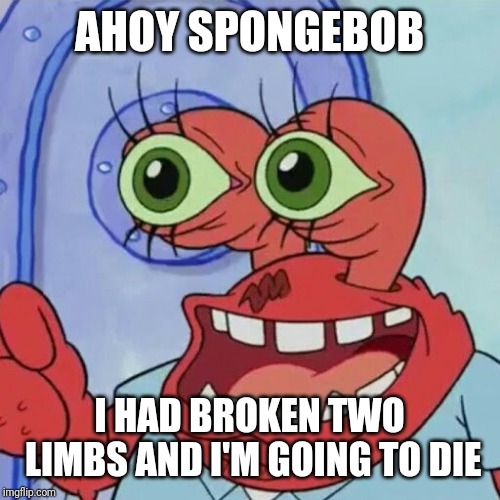AHOY SPONGEBOB | AHOY SPONGEBOB; I HAD BROKEN TWO LIMBS AND I'M GOING TO DIE | image tagged in ahoy spongebob,memes | made w/ Imgflip meme maker