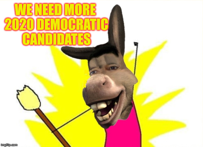 X All The Y Sarcasm | WE NEED MORE 2020 DEMOCRATIC CANDIDATES | image tagged in x all the y,memes,democratic socialism,candidates,2020 elections,aint nobody got time for that | made w/ Imgflip meme maker