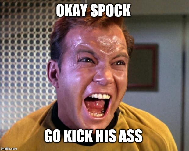 Captain Kirk Screaming | OKAY SPOCK GO KICK HIS ASS | image tagged in captain kirk screaming | made w/ Imgflip meme maker